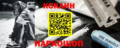 крисы Кулебаки