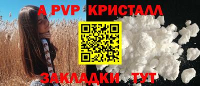 крисы Кулебаки