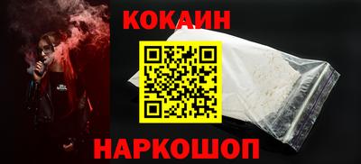 крисы Кулебаки