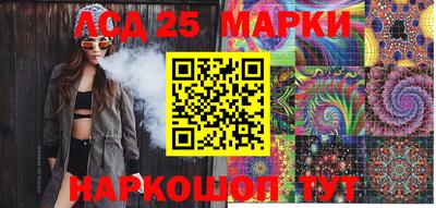 крисы Кулебаки