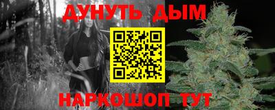крисы Кулебаки