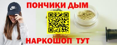 крисы Кулебаки