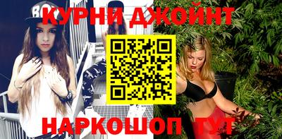 крисы Кулебаки